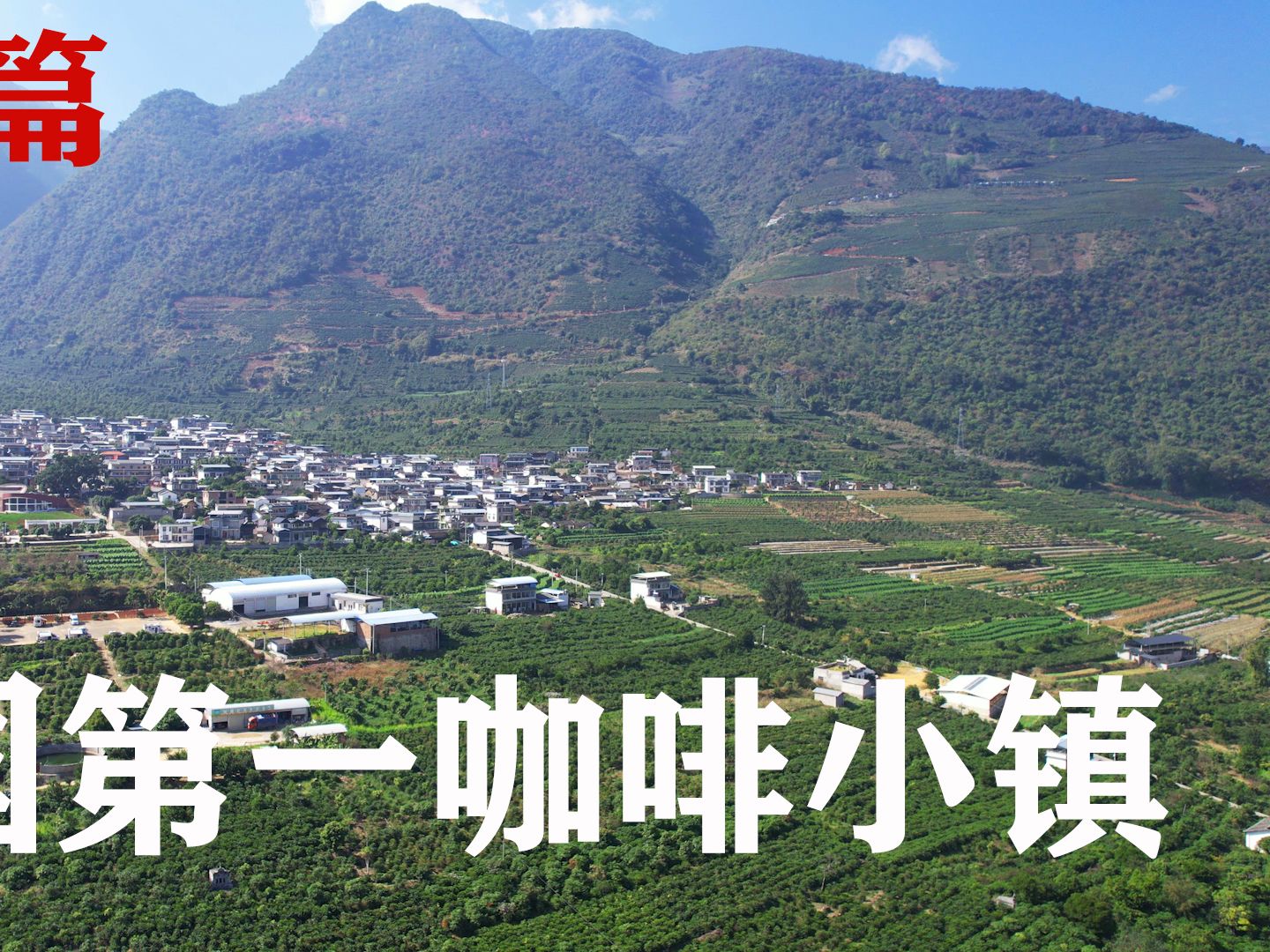 自驾云南中国咖啡第一镇,潞江坝镇,今天长见识了才知道咖啡果皮可以吃