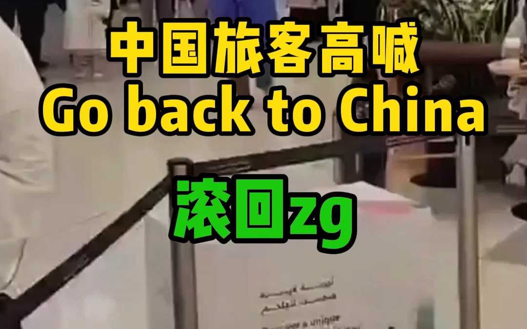 中国旅客高喊“Go back to china”引发歧义,是滚回zg的意思吗哔哩哔哩bilibili