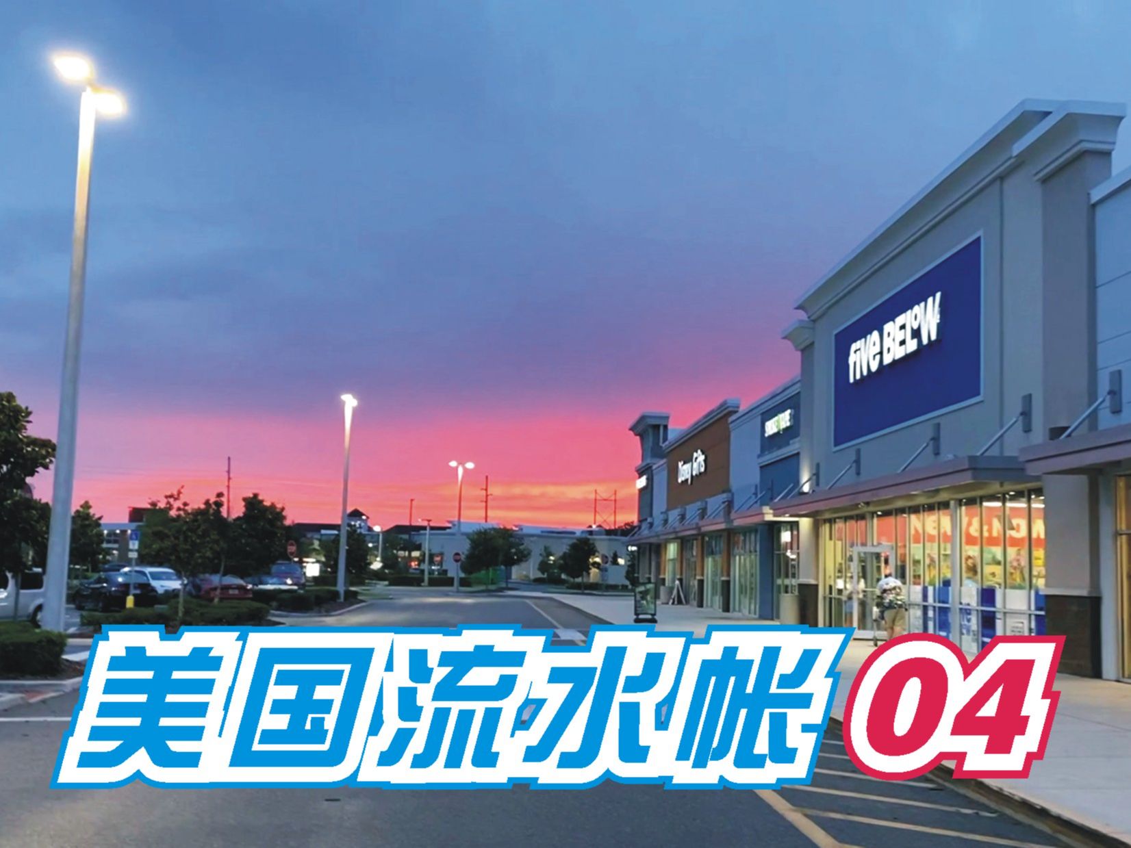 怪叔【美国流水账04】不一样的懒生活44 后院发现了野兔吃了沃尔玛