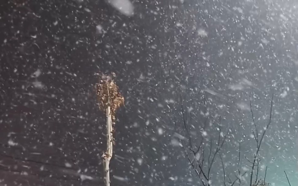 [图]张万森，下雪了❄️