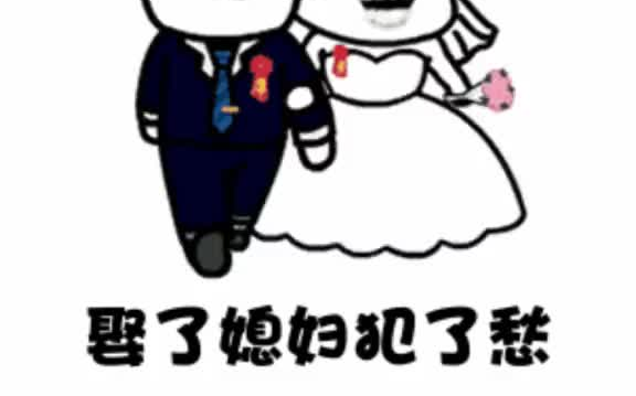 婚姻殿堂哔哩哔哩bilibili