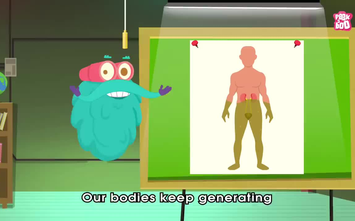 [图]How Do Your Body Parts Work - Dr. Binocs