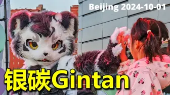 Скачать видео: 【兽装舞蹈】银碳Gintan - 2024年10月01日在北京的随机舞蹈活动