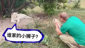 我劝母狮接受自己的孩子