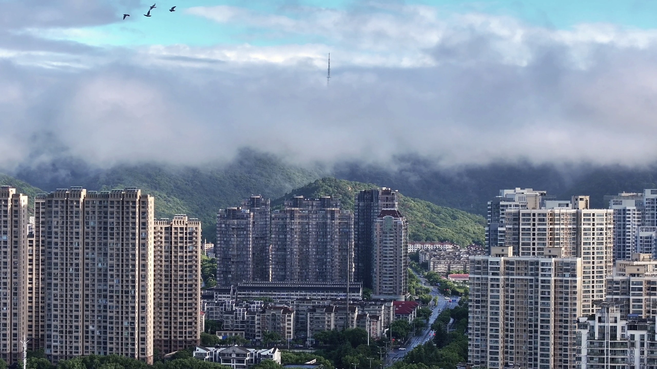 雨后清晨，无锡秒变川西！