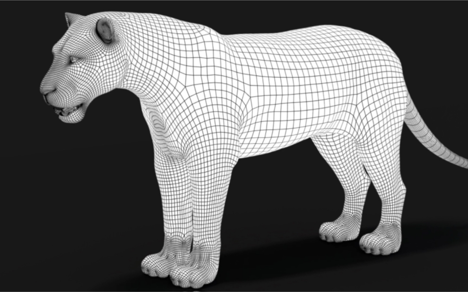 狮子3d模型素材