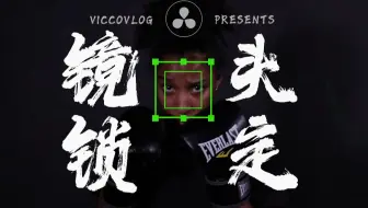 [Vicco] 用达芬奇锁定你的镜头视角一招提升画面B格 | Locked-on Stabilization