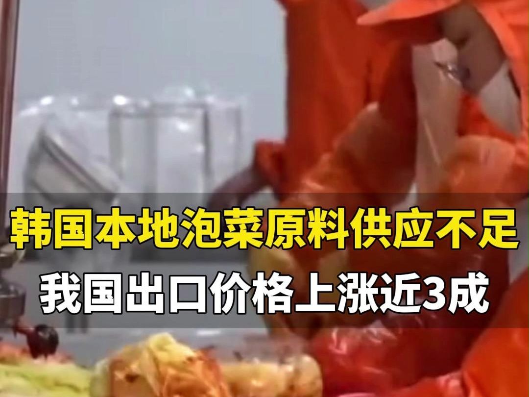 8月24日(发布).韩国本地泡菜原料供应不足,山东青岛今年或向韩国出口30万吨,出口价格同比涨幅近三成哔哩哔哩bilibili