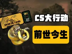 Download Video: 双人合作战役+八种娱乐模式！以前的大行动到底有多好玩？【CS星盘点 13】