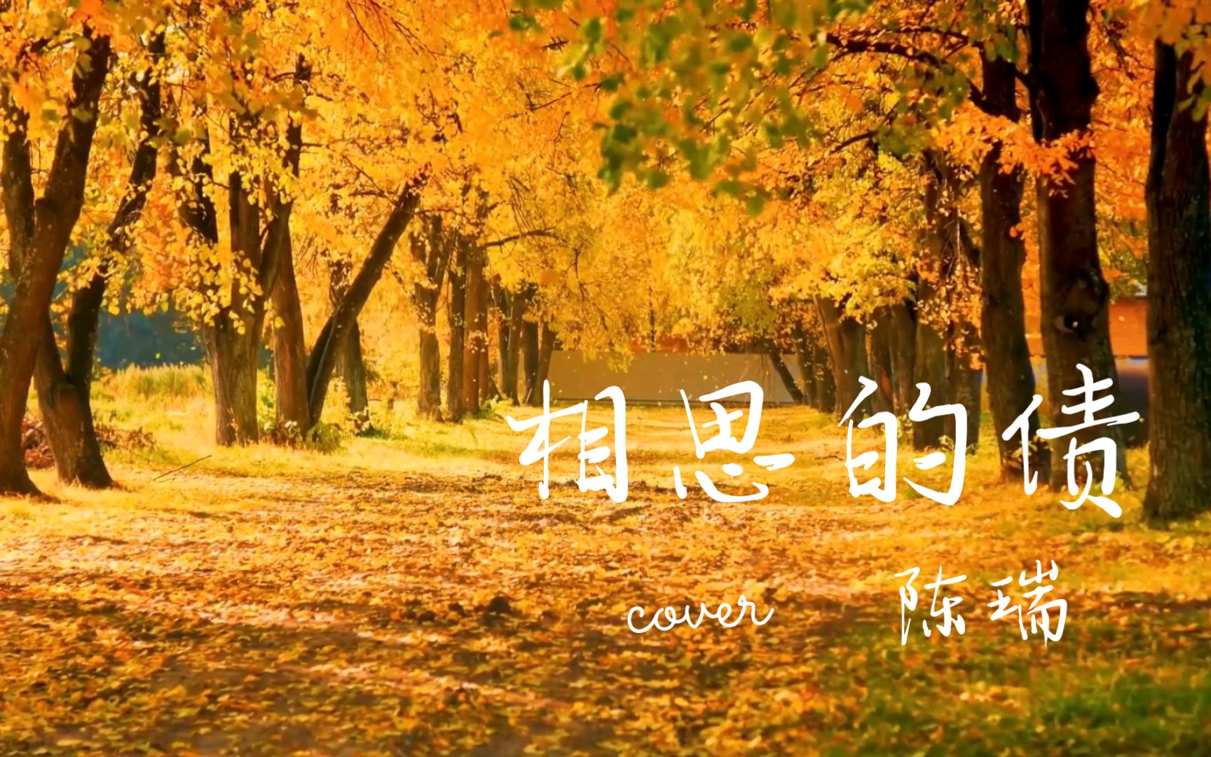 陈瑞倾情演唱《相思的债》撕心裂肺唯美感人!