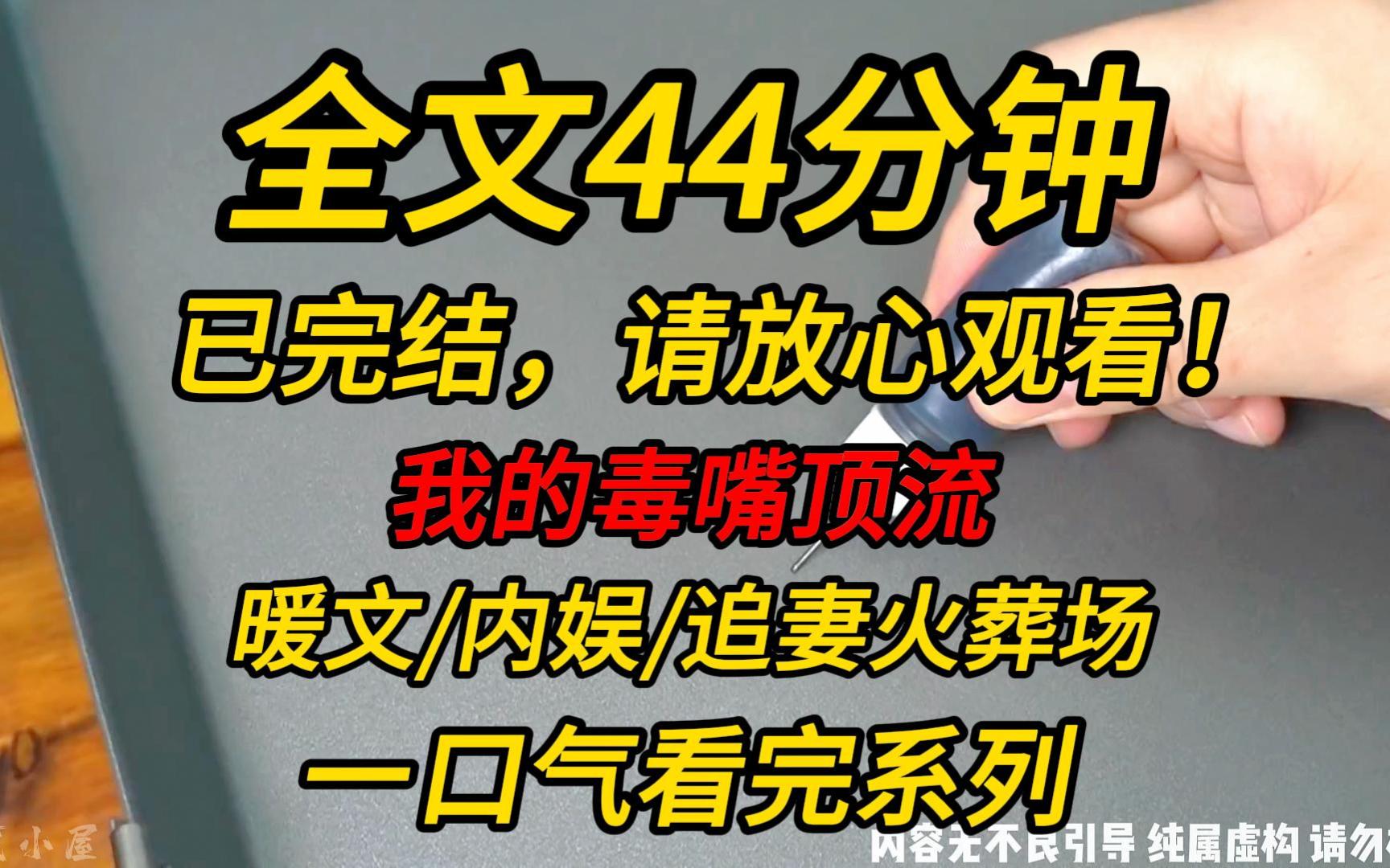 [图]【完结文】我的毒嘴顶流：我和顶流 rapper 一起上恋综！好甜！