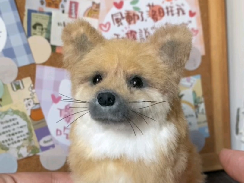谁能抗拒这只呆萌小狗呢?