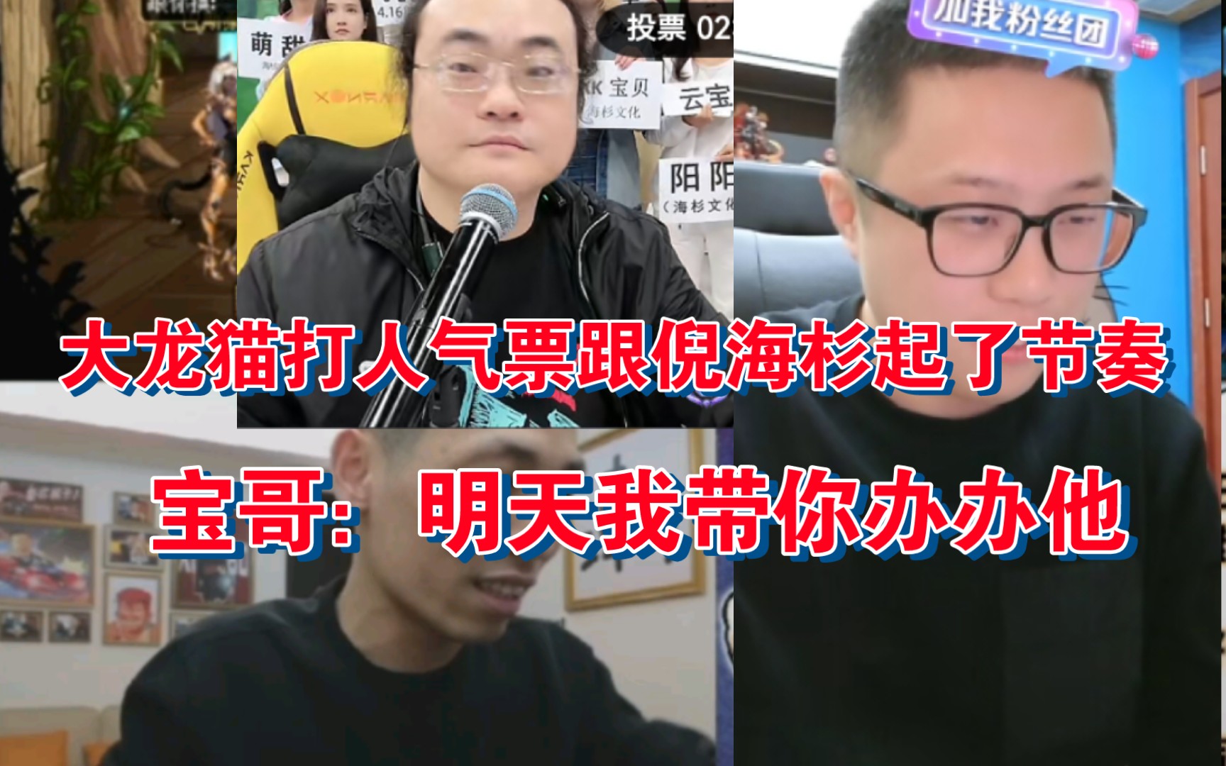 (旭旭宝宝)大龙猫打人气票跟倪海杉起了节奏,宝哥准备带着大龙猫办一