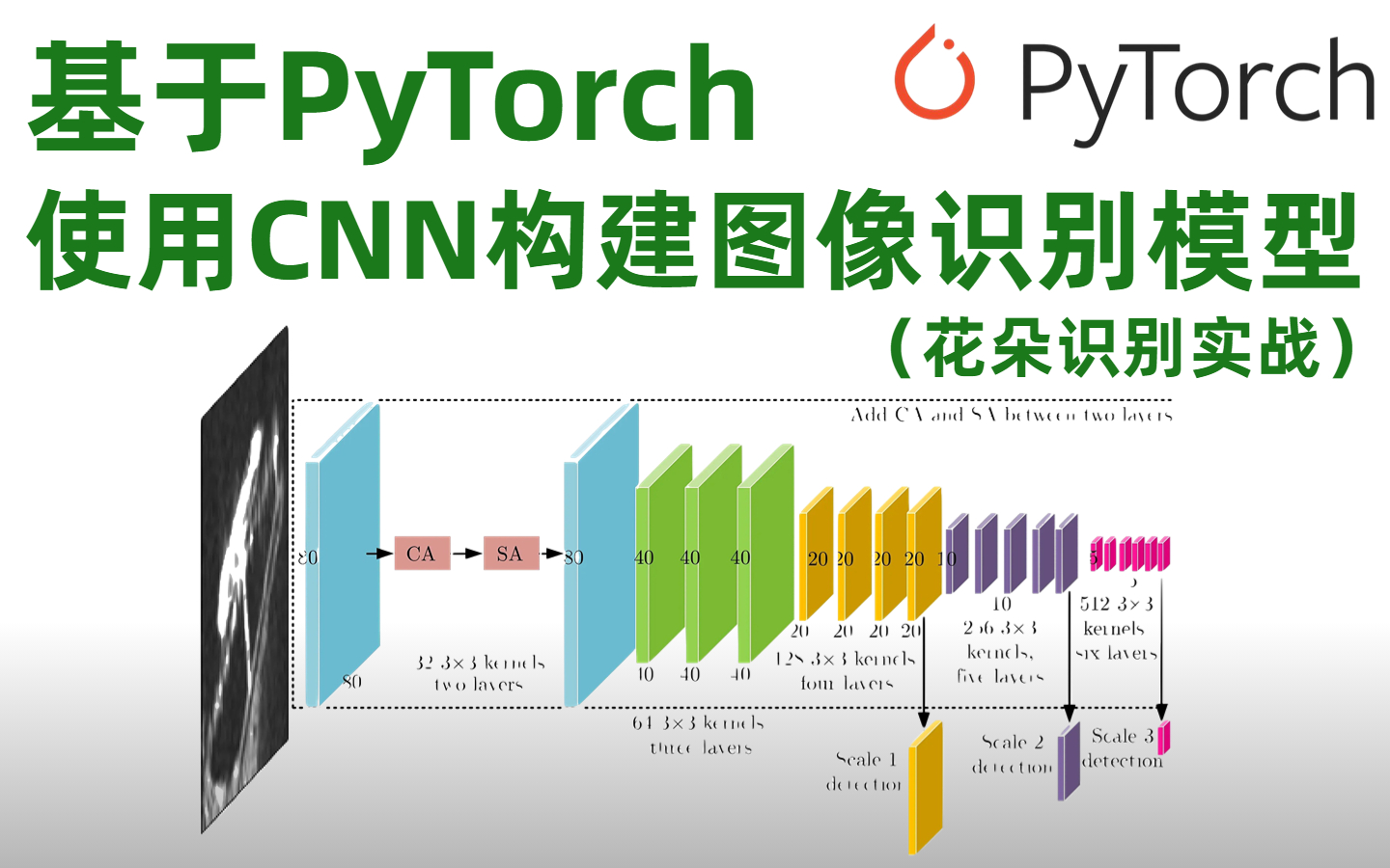 【深度学习实战】基于PyTorch框架,使用卷积神经网络构建图像识别(花朵识别)模型,从入门到实战计算机博士带你一步步学明白!哔哩哔哩bilibili