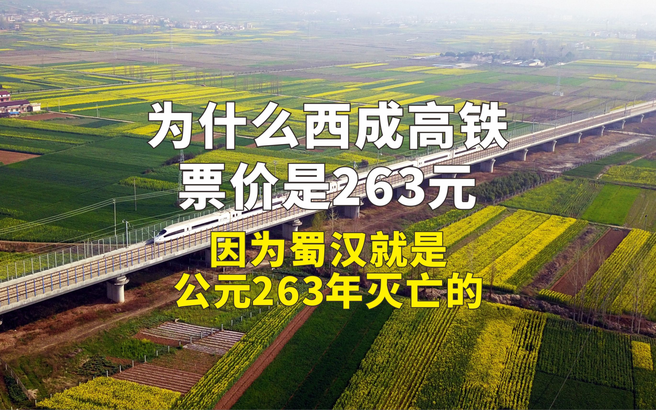 为什么西成高铁票价是263元,因为蜀汉就是公元263年灭亡的哔哩哔哩bilibili