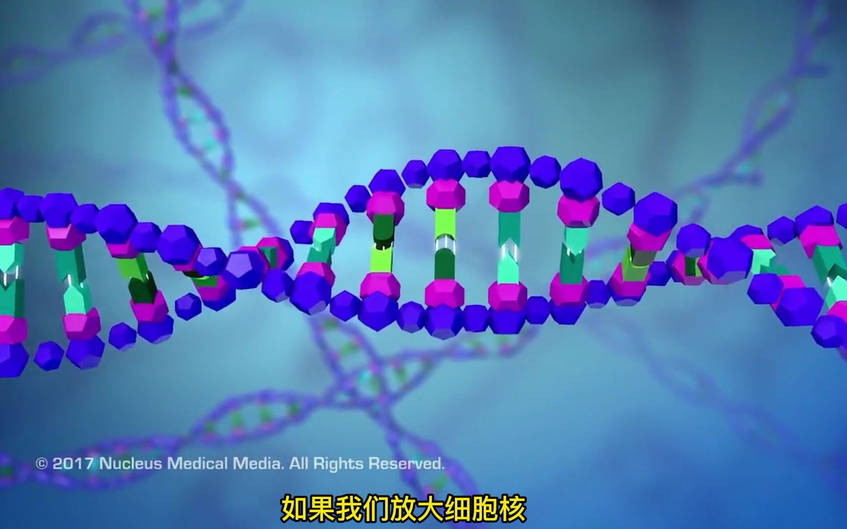 [图]DNA复制（中文版）高中生物课堂适用