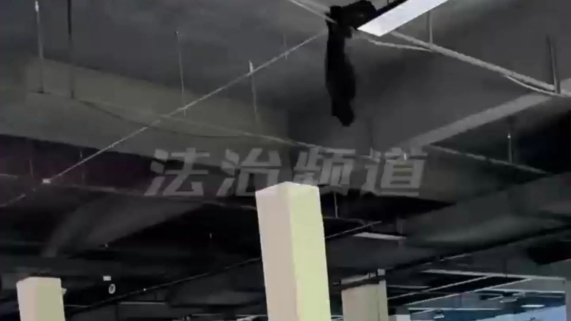 男生后空翻把裤子翻掉 裤子:今天回家不带上我吗 网友:晾裤子的方式还挺别致_哔哩哔哩_bilibili