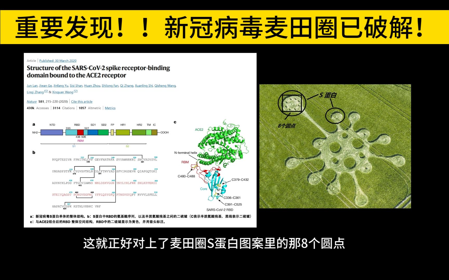 麦田圈病毒图图片