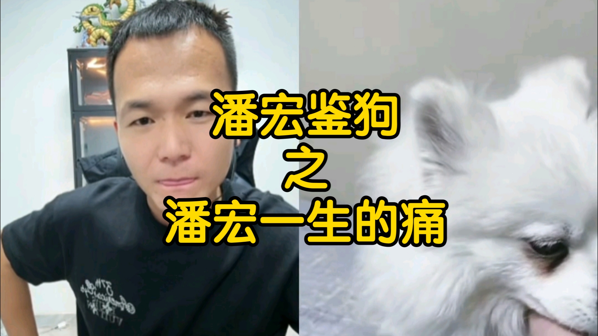 【潘宏直播】“一句话给潘宏整应激了”哔哩哔哩bilibili