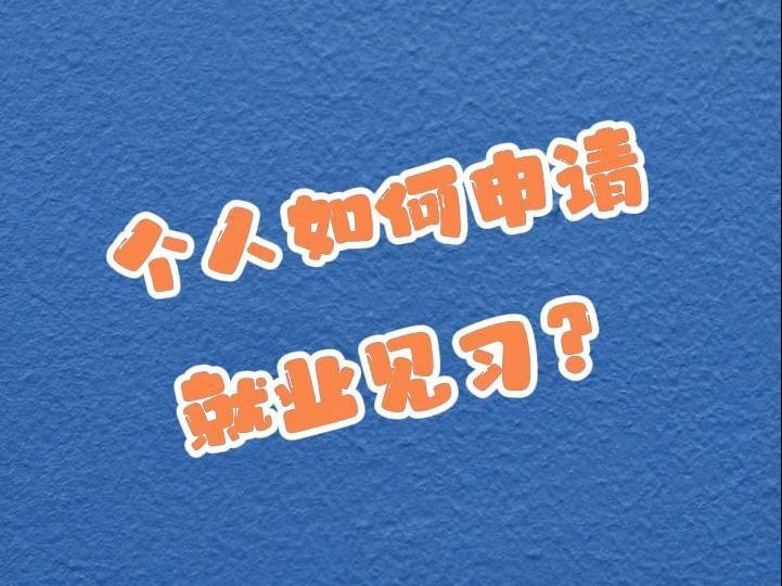 个人如何申请就业见习?哔哩哔哩bilibili