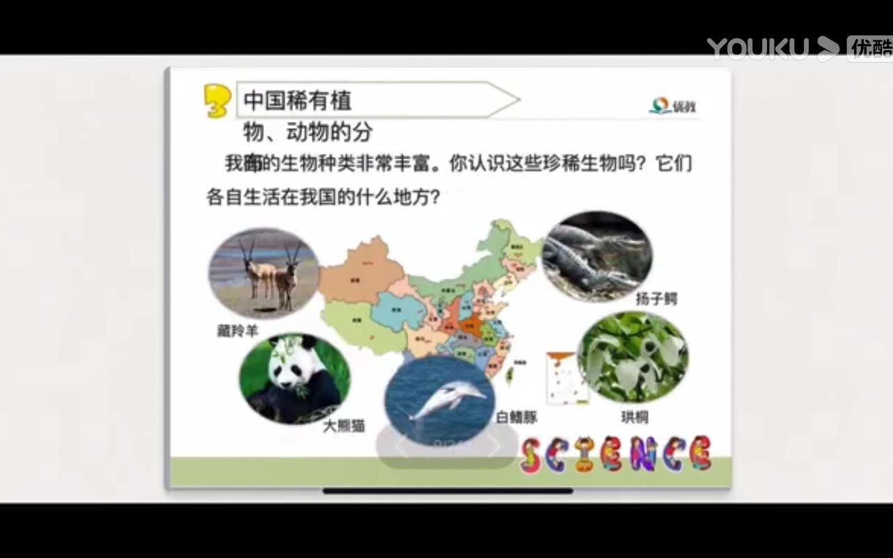 [图]【微课江桥】校园生物分布图（泰来县江桥中心学校：徐爽）