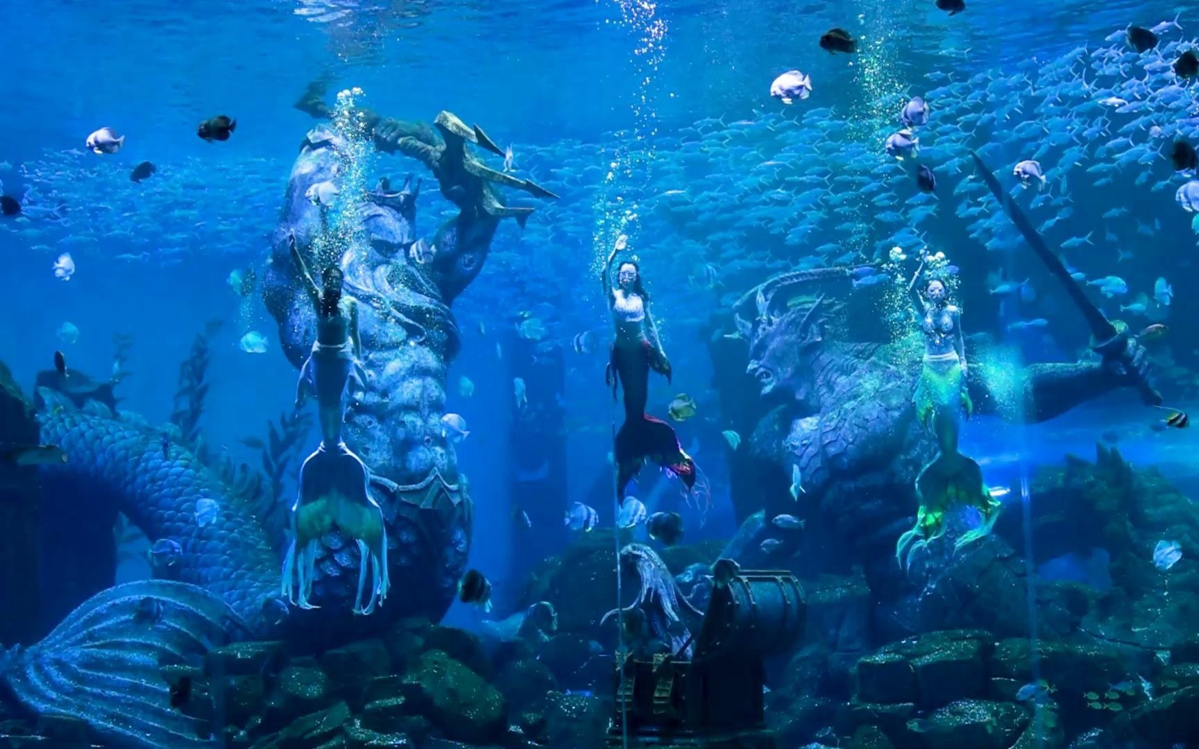 波塞冬海底世界美人鱼表演