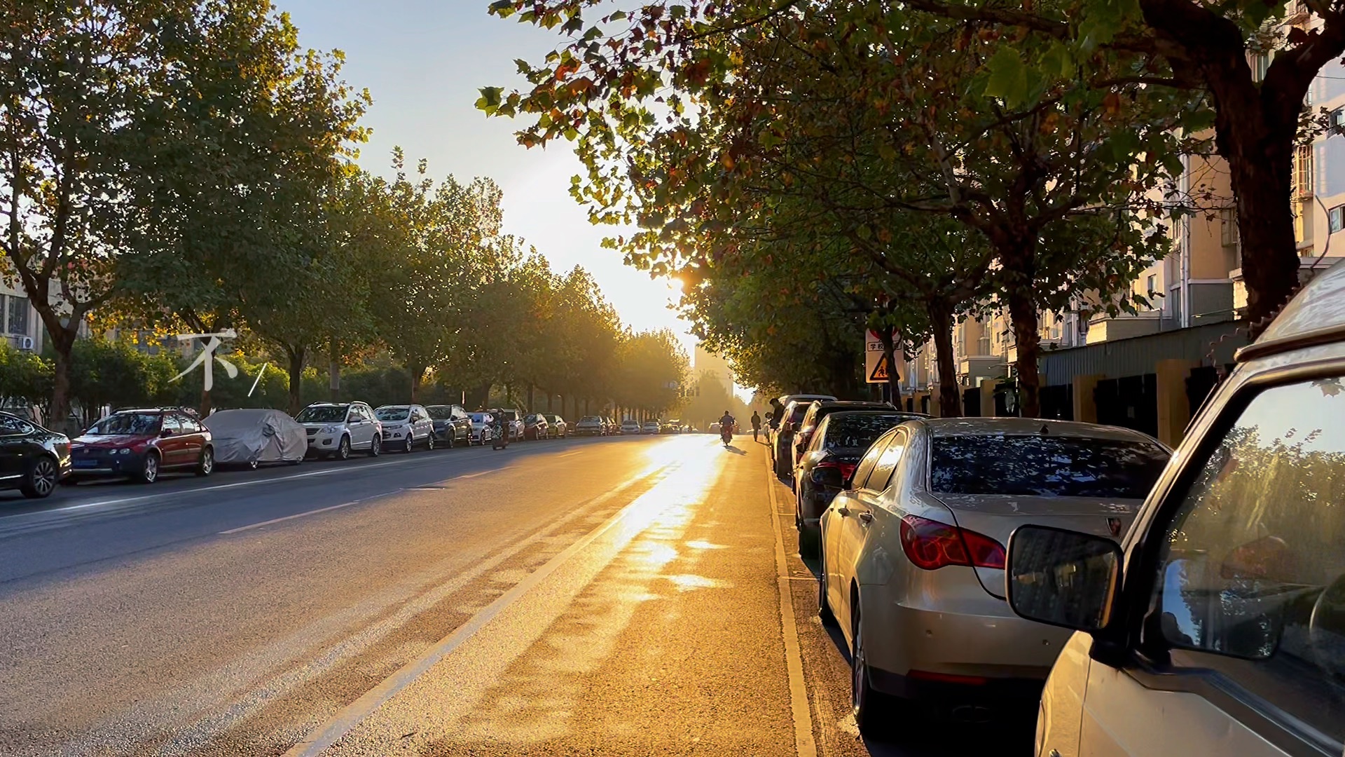 生活就是晨起暮落,日子就是早出晚归.