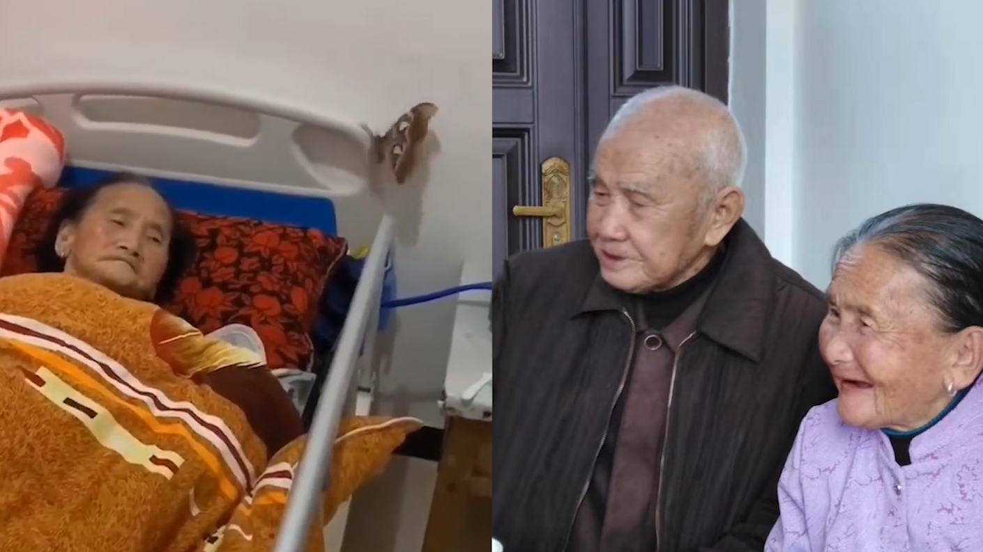 91岁爷爷去世7天,飞来蝴蝶停在卧病奶奶床头,背后故事太深情!