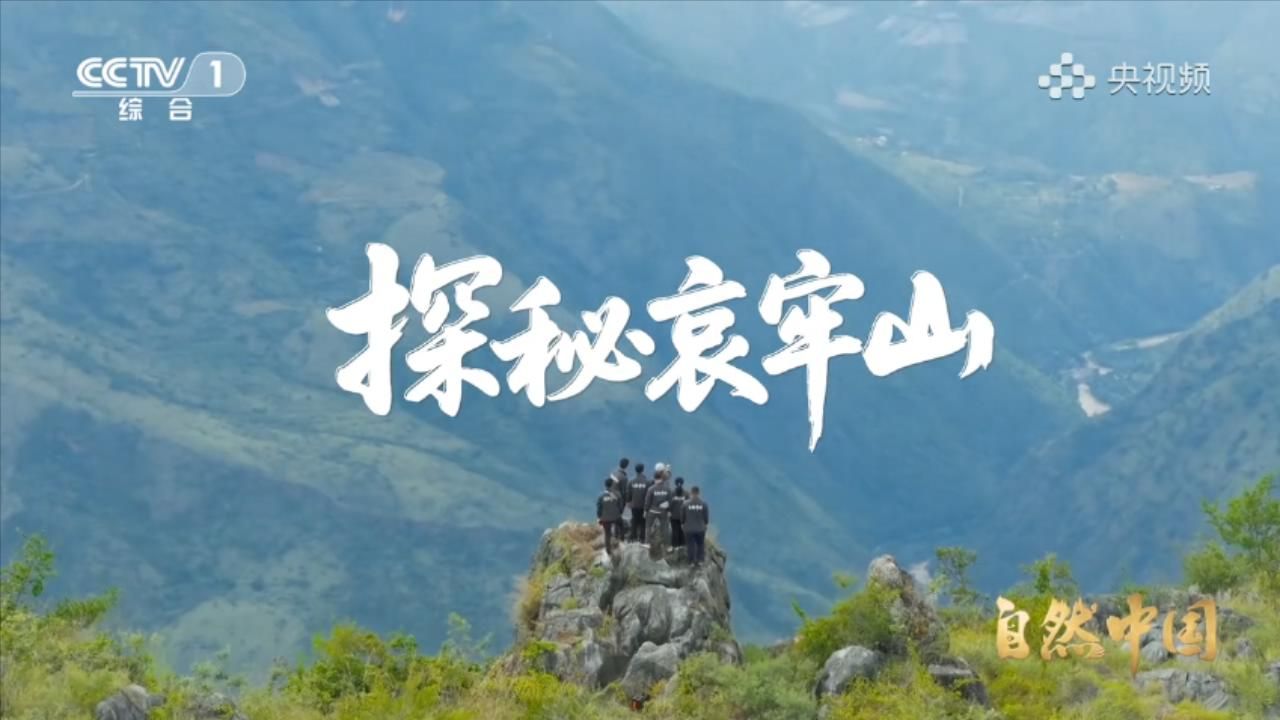 纪录片《探秘哀牢山》5集