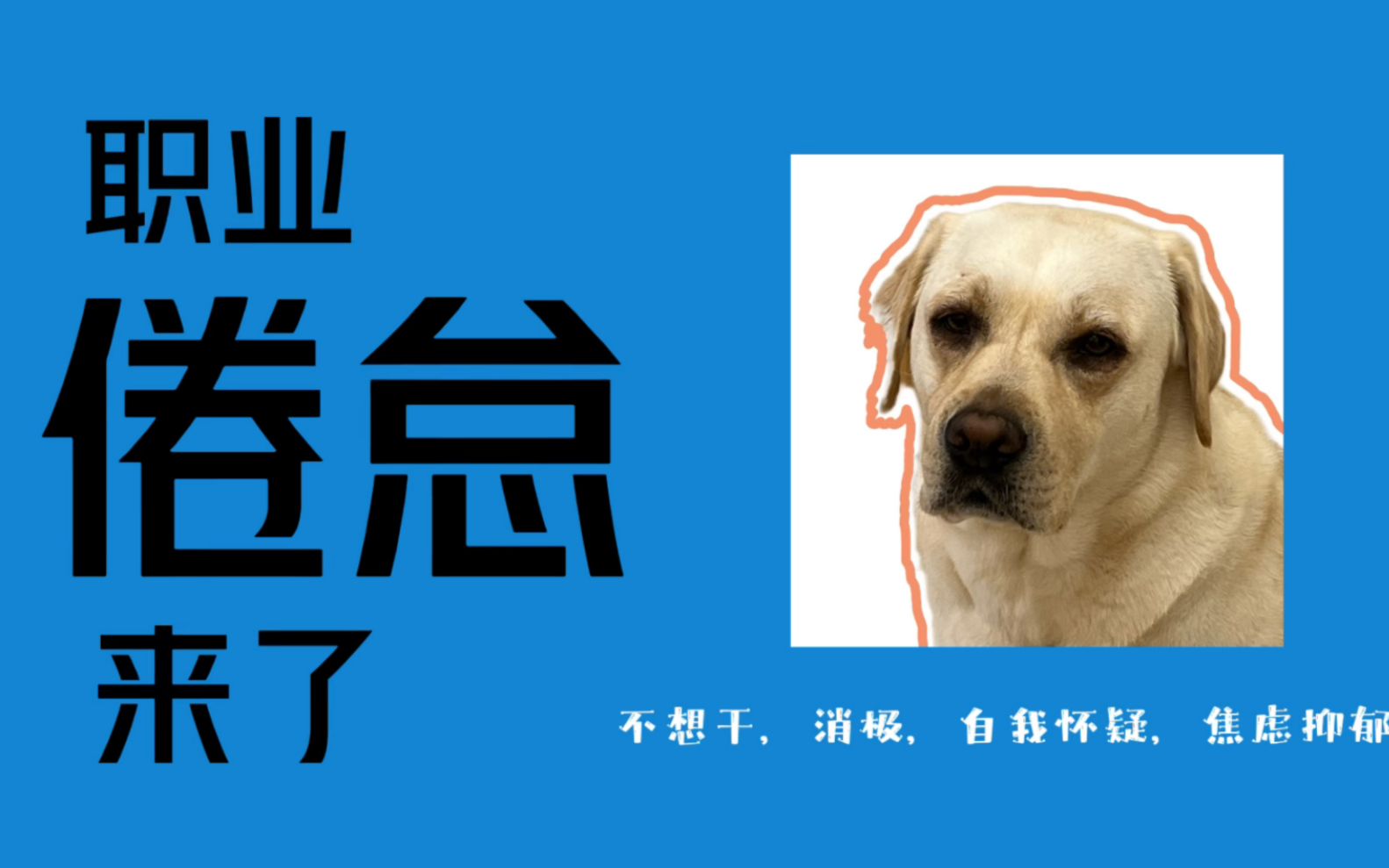 职业倦怠,怎么办?哔哩哔哩bilibili