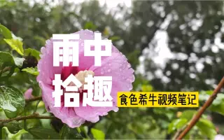 我的手机视频分享，注重细节表达，雨中有乐趣