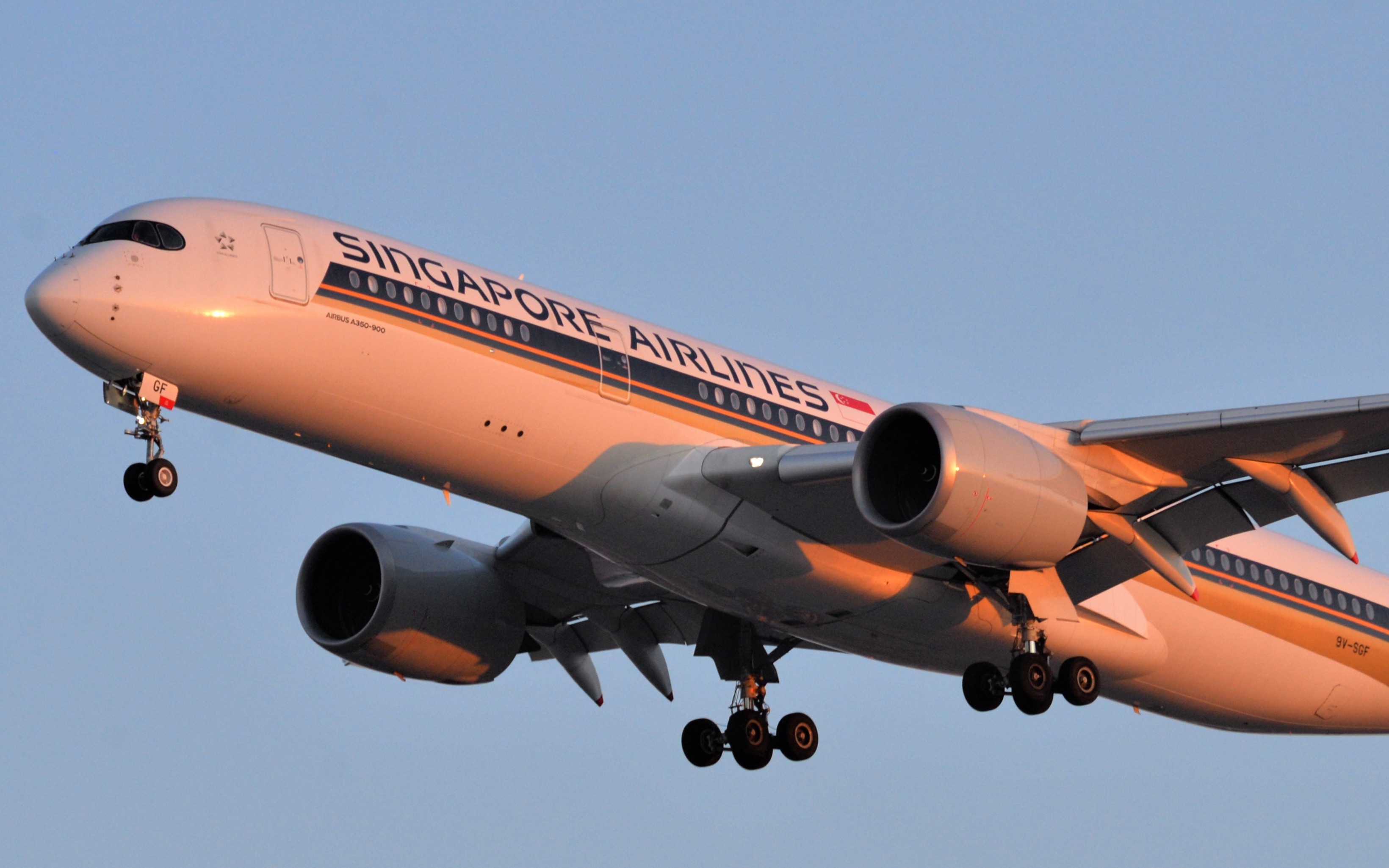 新加坡总统造访北京#冬奥会#新加坡总统专机a350#_哔哩哔哩_bilibili