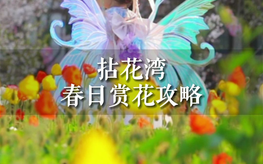 拈花湾赏花攻略哔哩哔哩bilibili