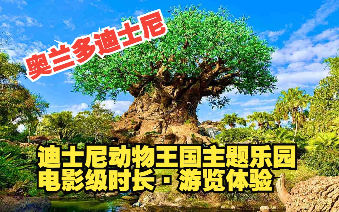 [图]【4K】奥兰多迪士尼丨迪士尼动物王国 Disney's Animal Kingdom 游览