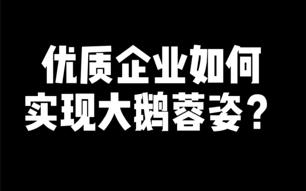 优质企业如何实现大额融资?哔哩哔哩bilibili