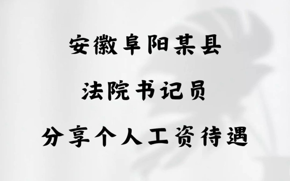 安徽阜阳某县法院书记员,分享个人工资待遇哔哩哔哩bilibili