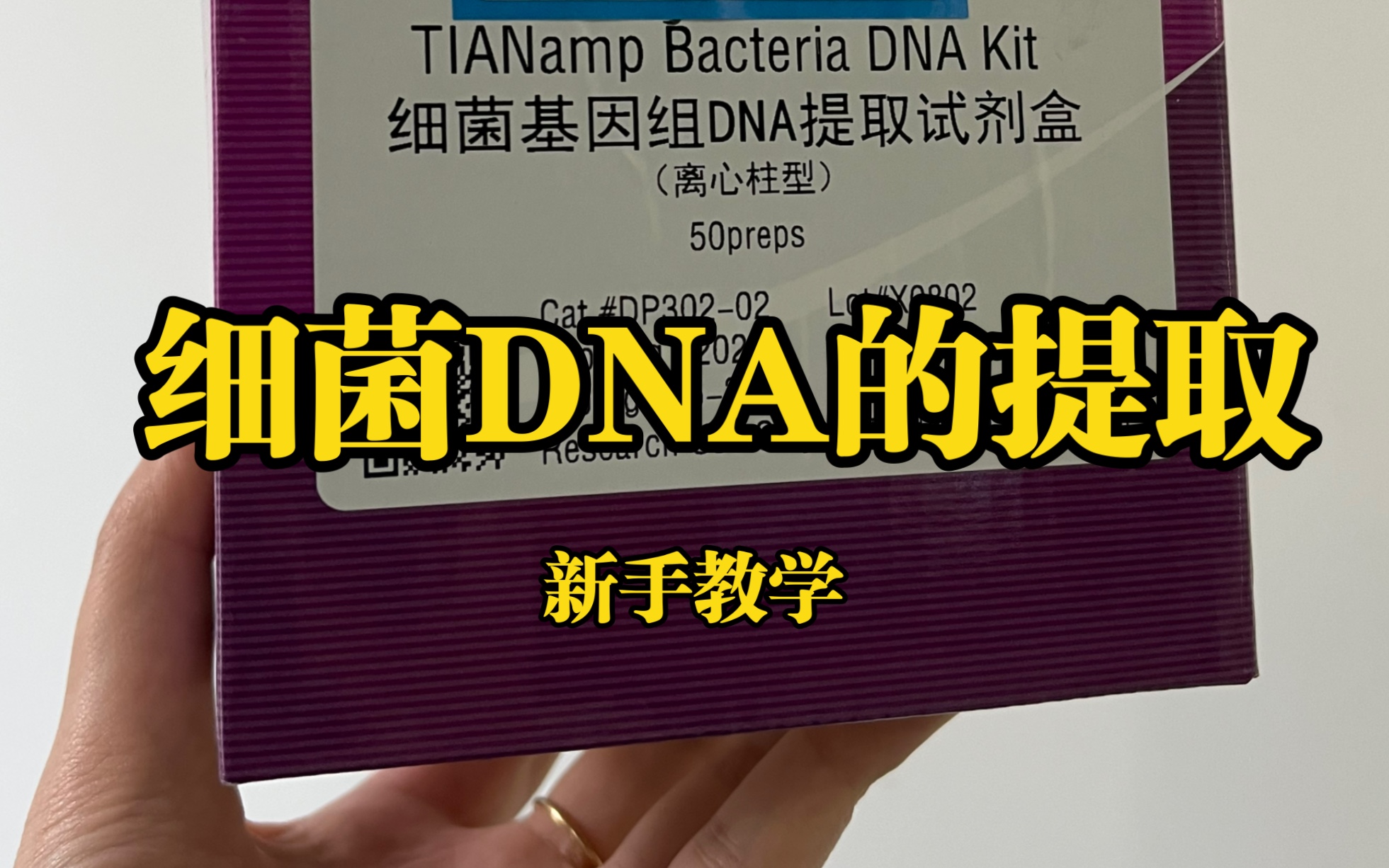 細菌dna提取,入門級別