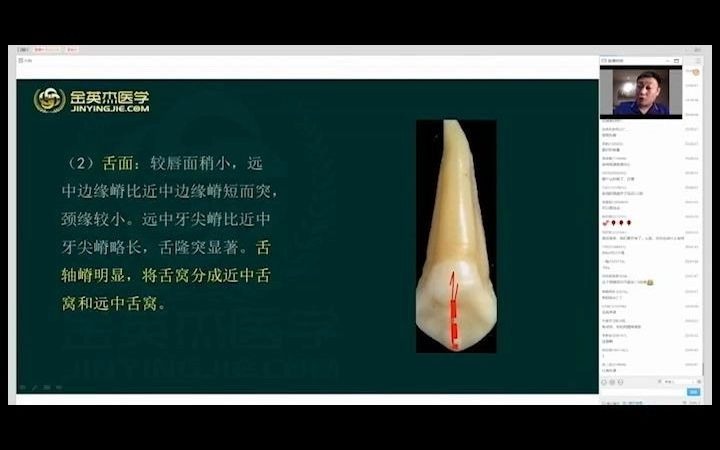 [图]赵庆乐-口腔解剖生理学（牙体外形及生理意义01）