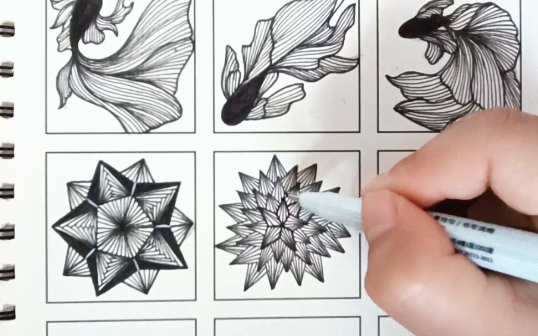 控线练习‖短线条练习之尖锐的刺球