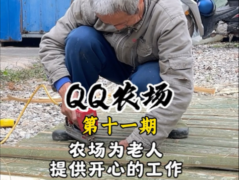 QQ农场为山里老人提供开心的就业环境,也迎来了第一批下绿皮鸡蛋的五黑鸡.#三农 #新农人 #新农人计划 #农场日记哔哩哔哩bilibili