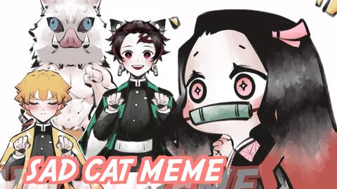 Sad Cat Dance Meme_哔哩哔哩_bilibili