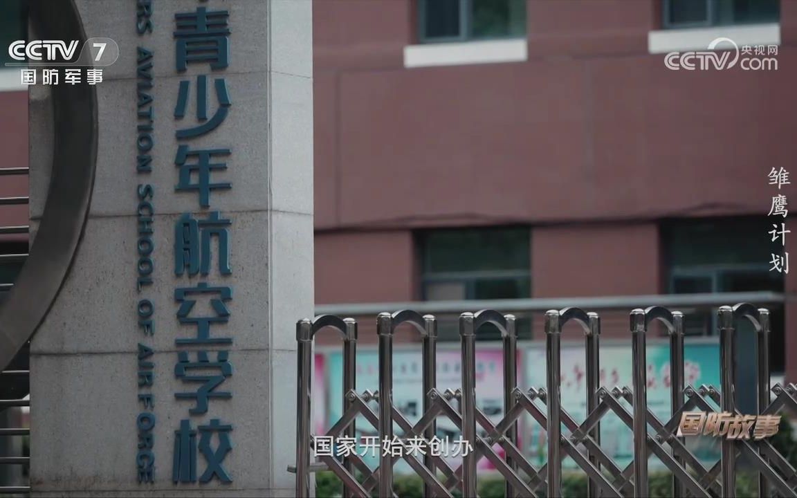 雏鹰计划 飞行学员通关攻略哔哩哔哩bilibili