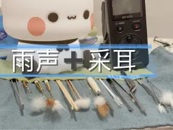 Descargar video: 【雨声采耳】新人助眠雨夜掏耳，进来睡吧