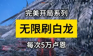 【完美开局系列5】开局无限刷白龙（每次5万卢恩）