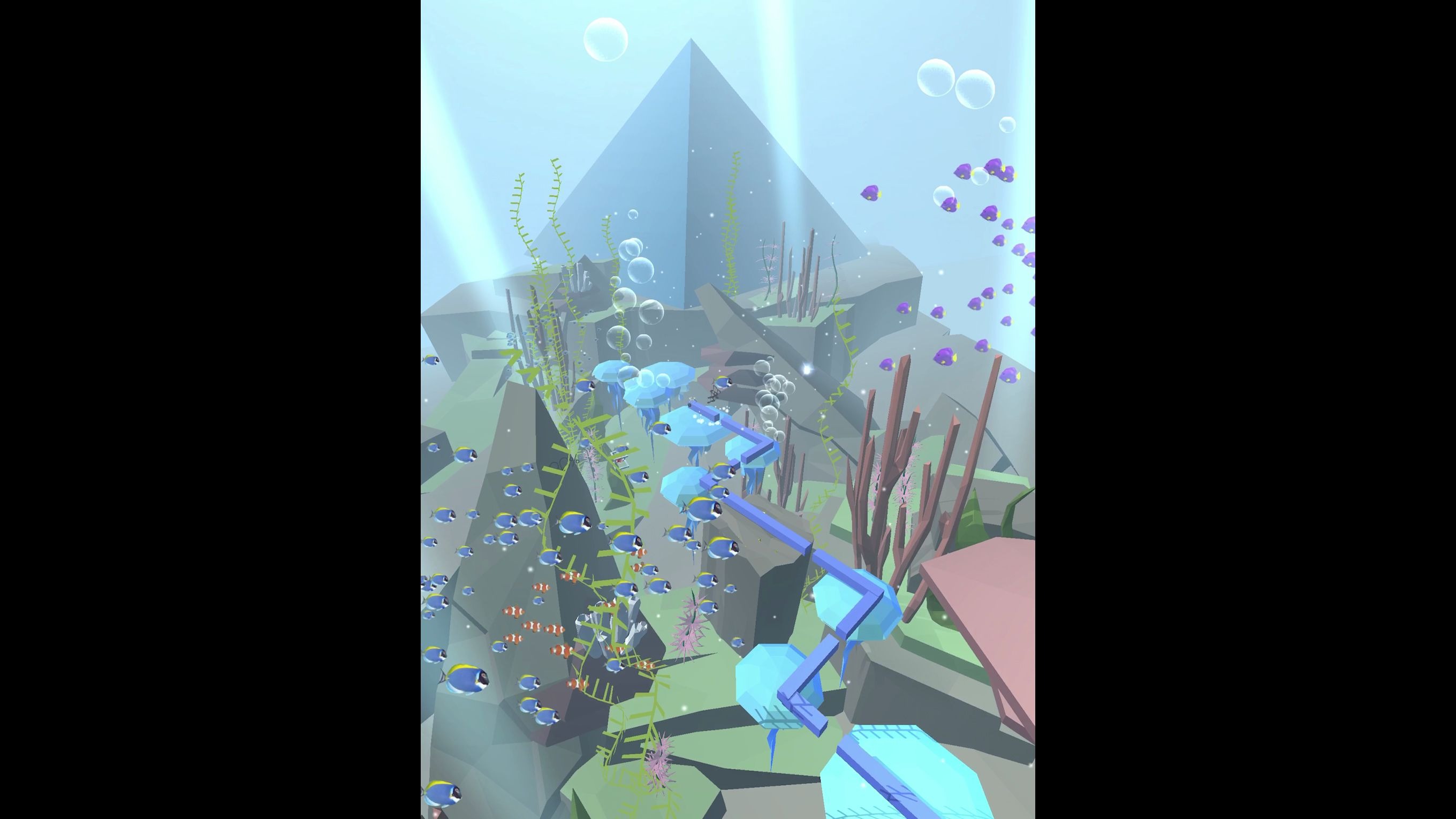 活动作品跳舞的线4k第五期至美的海洋