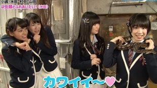 Ynn 西澤瑠莉奈企划 目标全世界 1 Nmb48频道 哔哩哔哩 つロ干杯 Bilibili