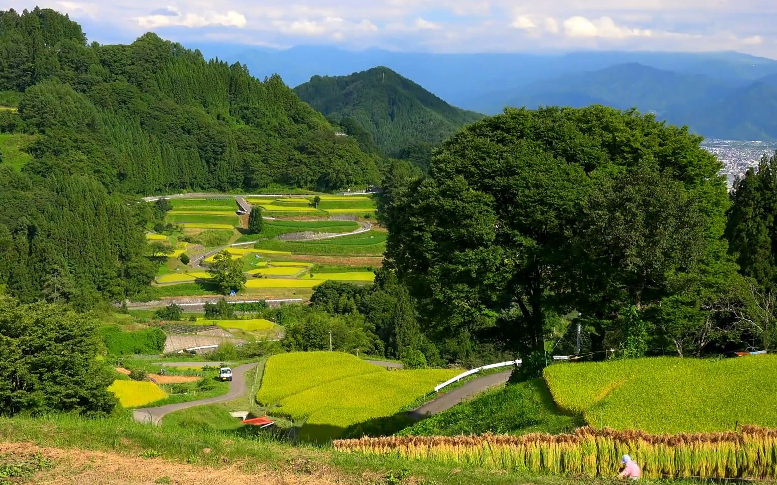 日本风景纪录片图片