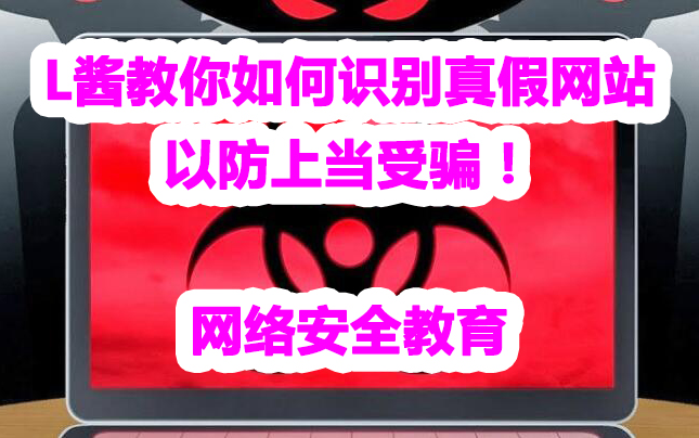 416中国式家长虽火,请注意网络安全,L酱教你如何识别真假网站,以防上当受骗!【网络安全教育】哔哩哔哩bilibili