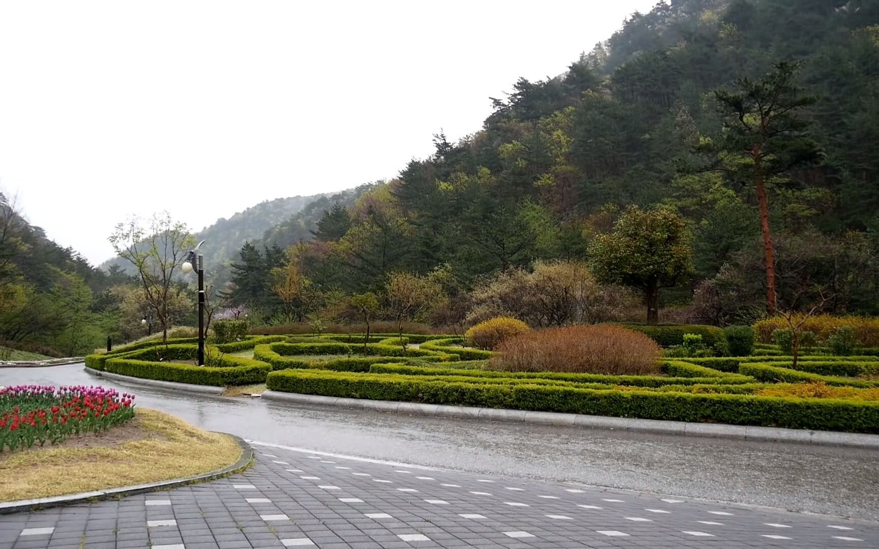 [图]【助眠】细雨绵绵不断小山路雨声｜1小时播放｜放松 减压 集中注意力