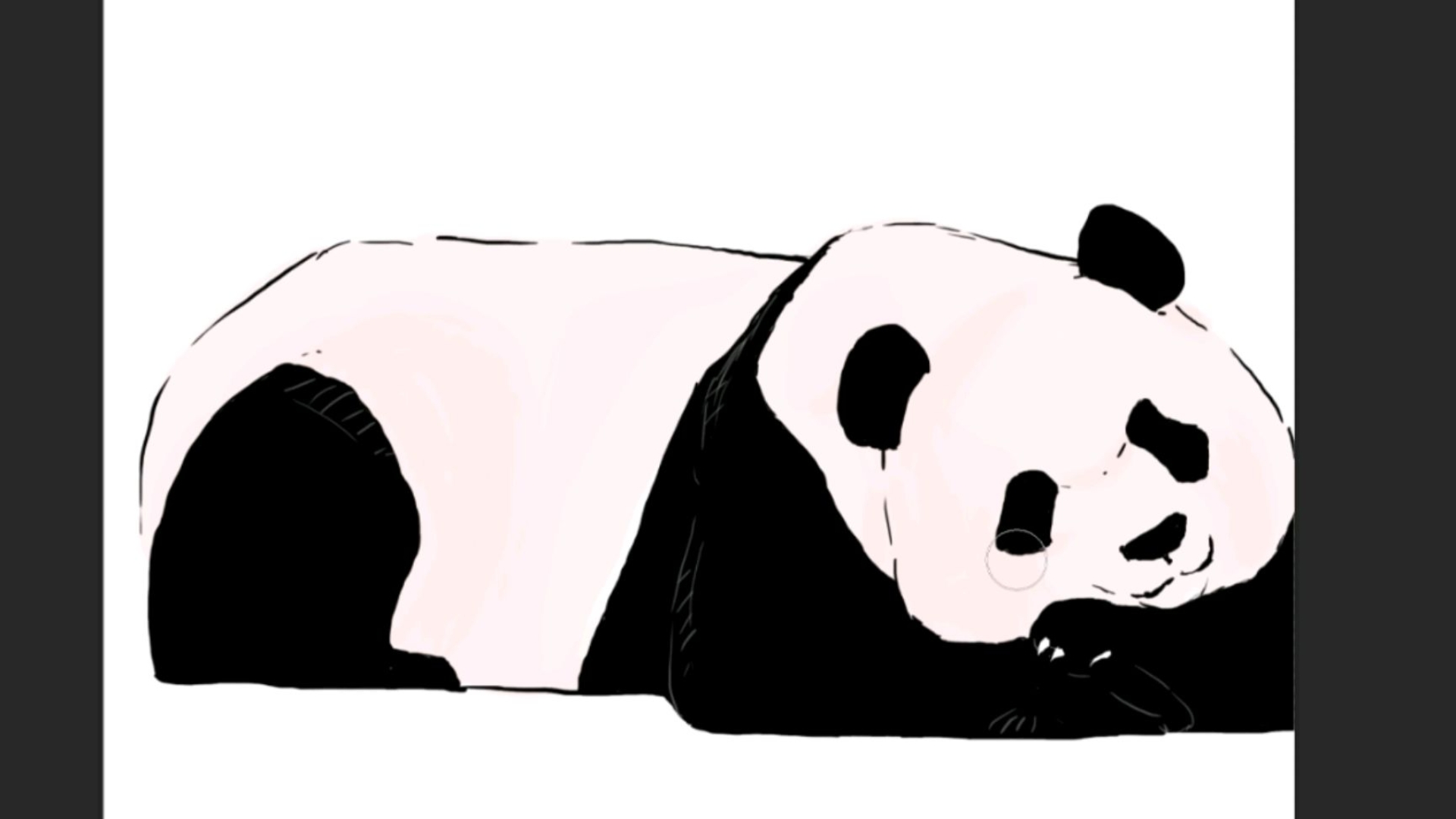 趴着的熊猫宝宝2